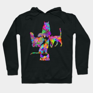 Collection of Colorful Cats Hoodie